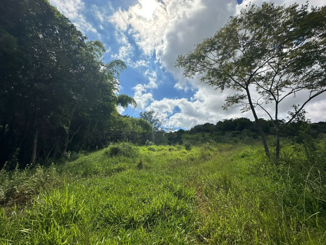 Chácara, 1 quarto - Foto 11