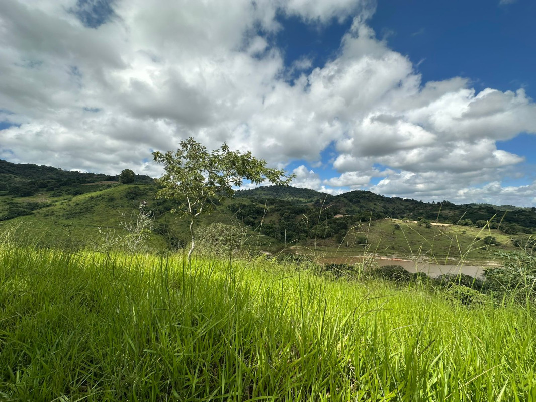 Chácara, 1 quarto - Foto 2