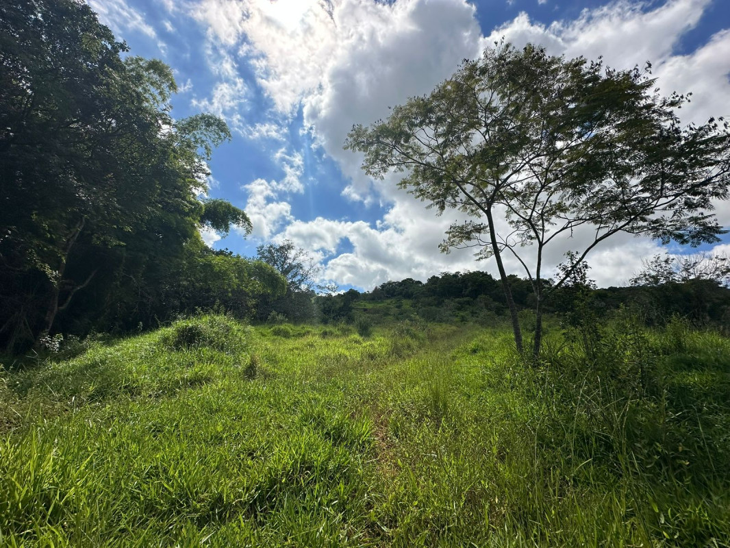 Chácara, 1 quarto - Foto 12