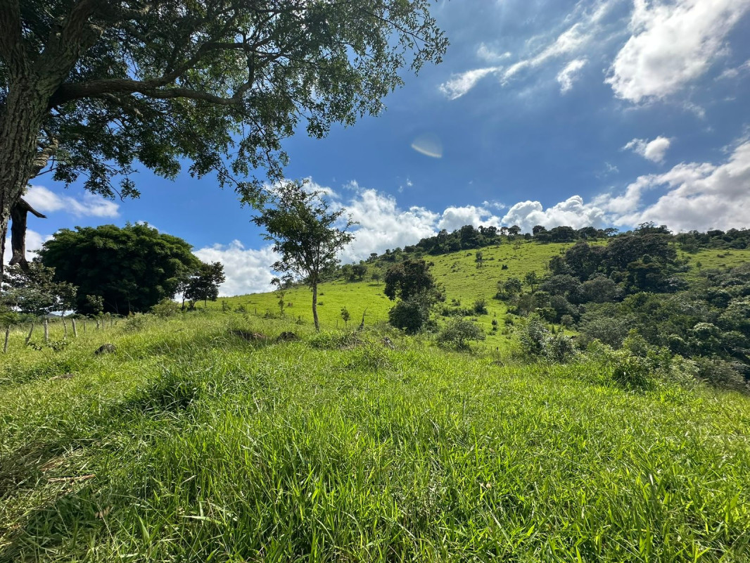 Chácara, 1 quarto - Foto 5