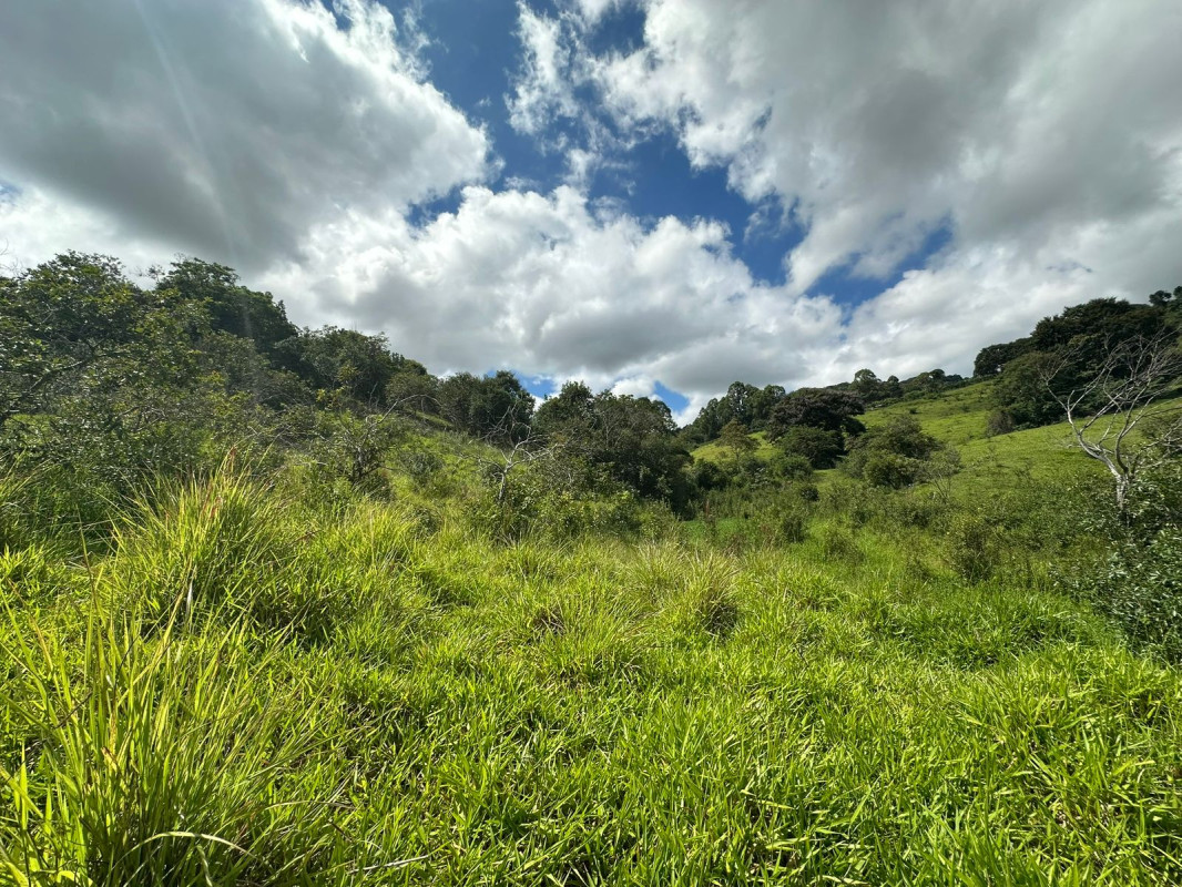 Chácara, 1 quarto - Foto 10