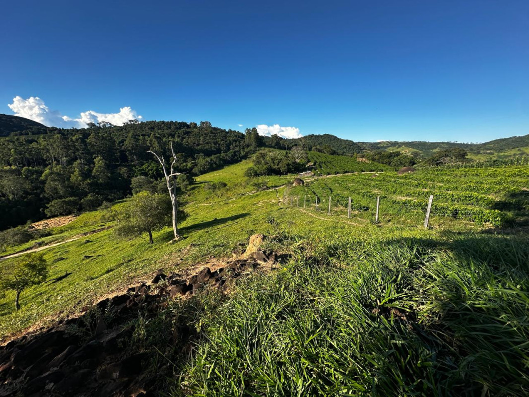 Chácara, 1 quarto - Foto 2