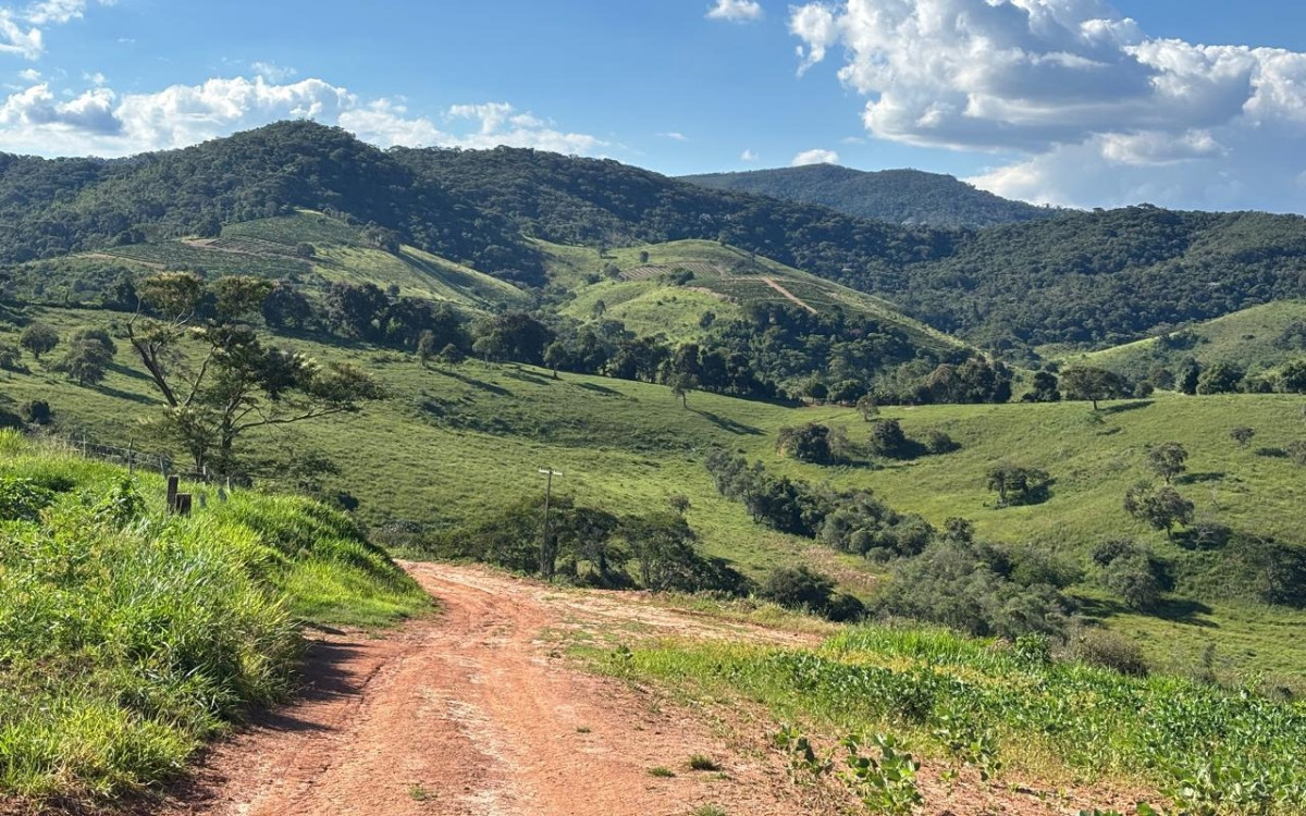 Chácara, 1 quarto, 160 hectares - Foto 4