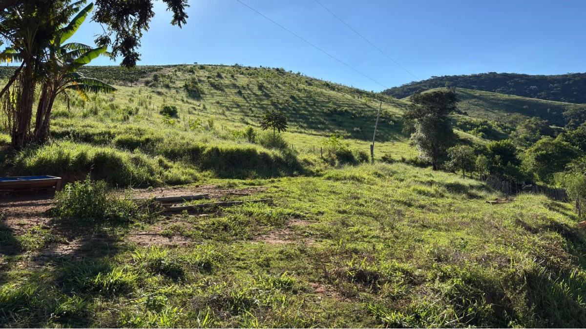 Chácara, 1 quarto, 160 hectares - Foto 7
