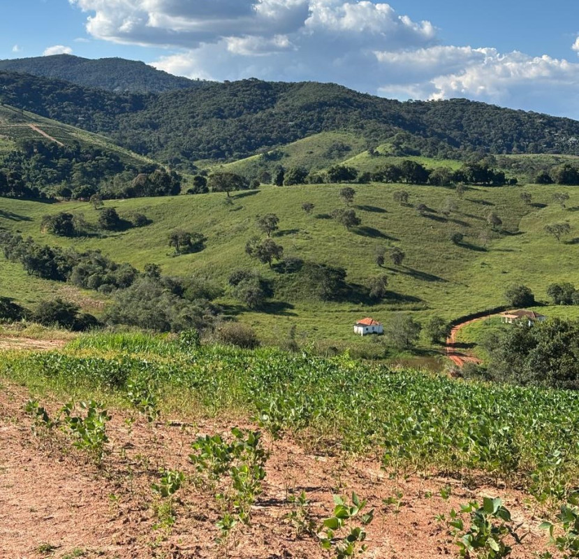 Chácara, 1 quarto, 160 hectares - Foto 9