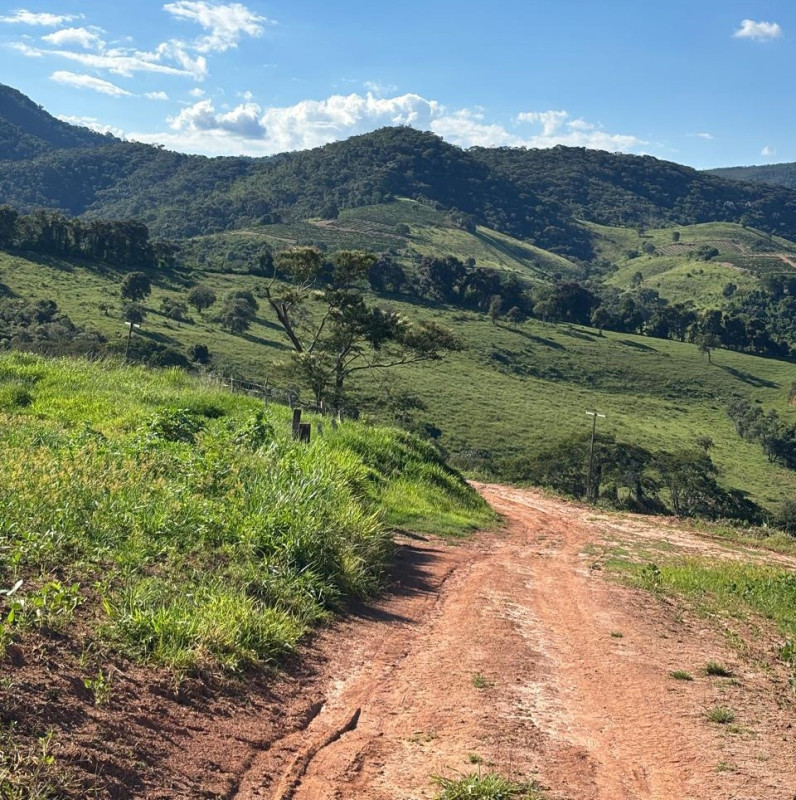 Chácara, 1 quarto, 160 hectares - Foto 11