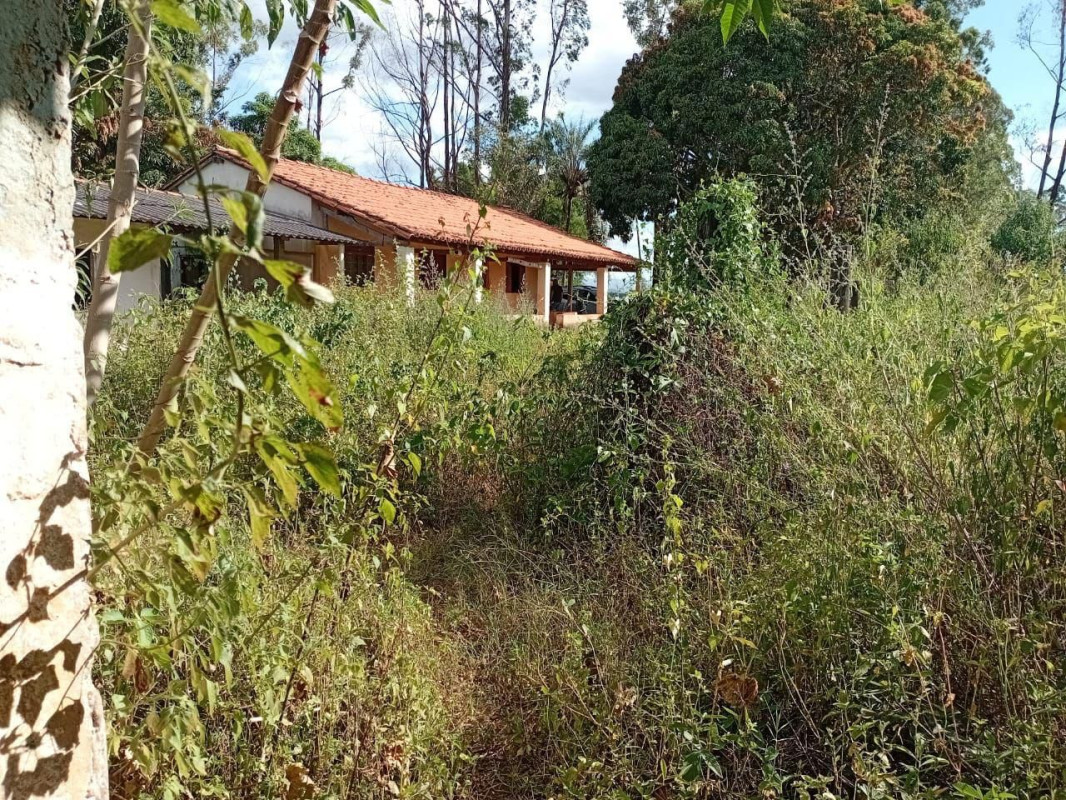 Chácara, 1 quarto - Foto 3