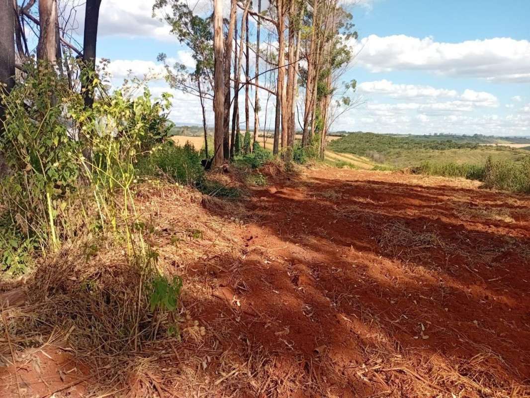 Chácara, 1 quarto - Foto 14