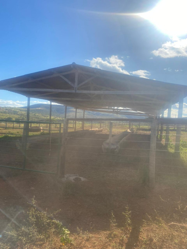 Chácara, 1 quarto - Foto 19