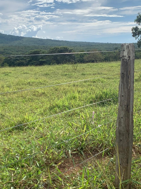 Chácara, 1 quarto - Foto 10