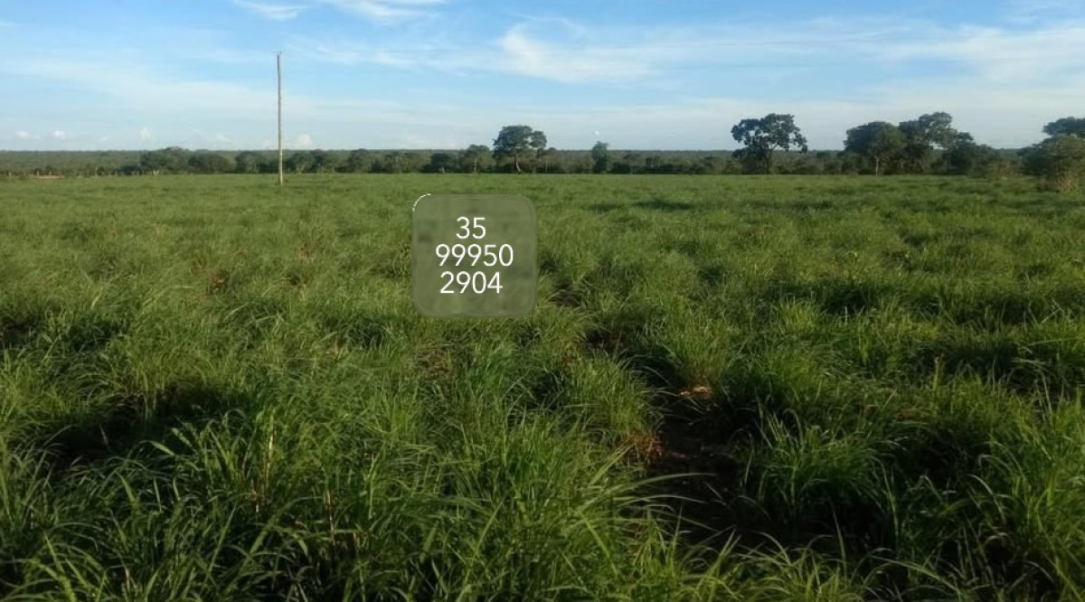 Chácara, 1 quarto, 1844 hectares - Foto 10