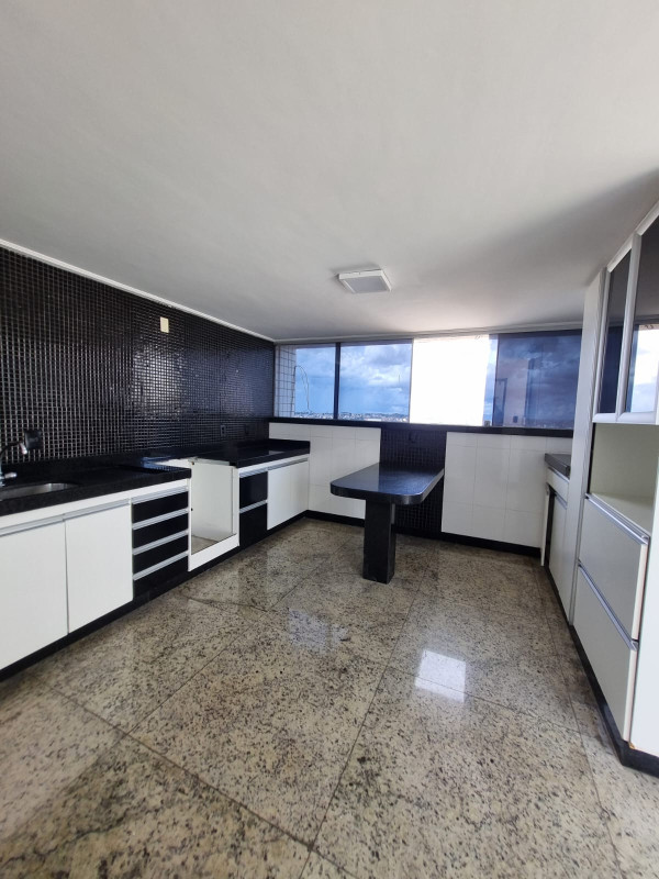 Cobertura, 4 quartos, 252 m² - Foto 5
