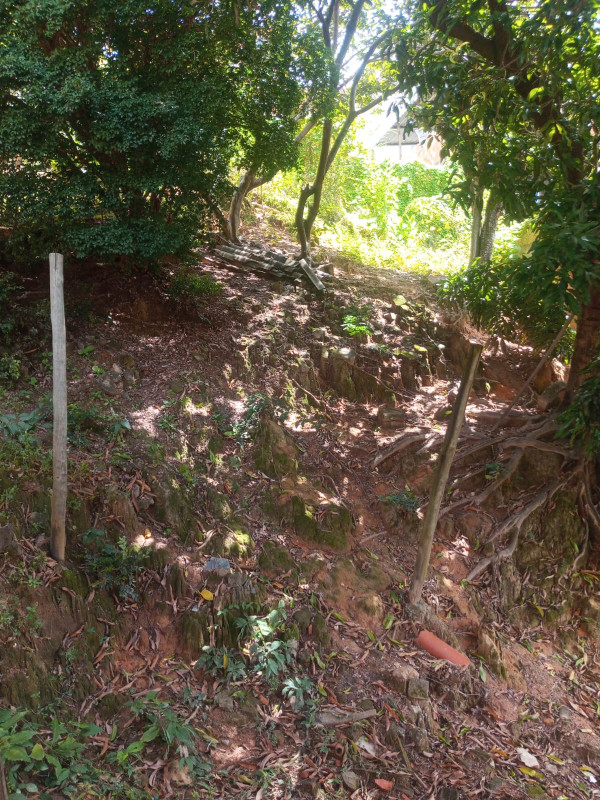 Casa, 3 quartos, 300 m² - Foto 15