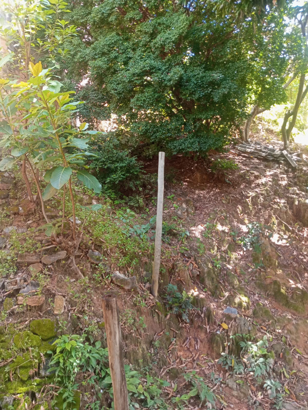Casa, 3 quartos, 300 m² - Foto 14