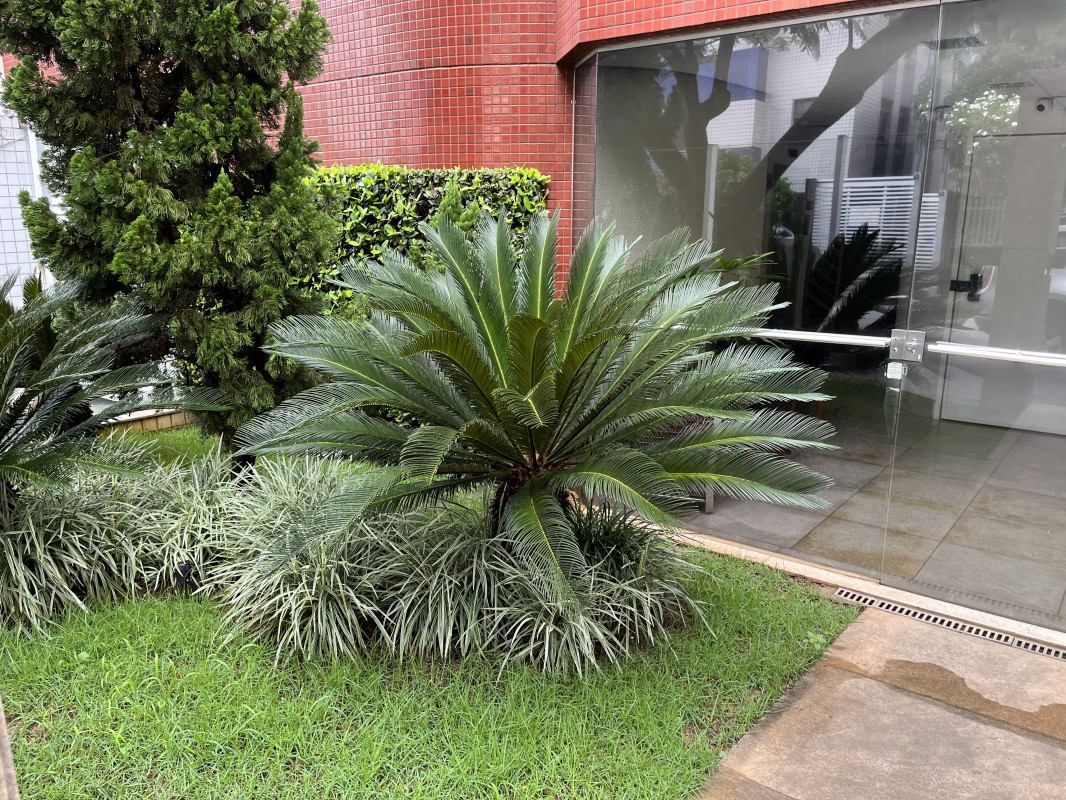 Apartamento, 4 quartos, 121 m² - Foto 5