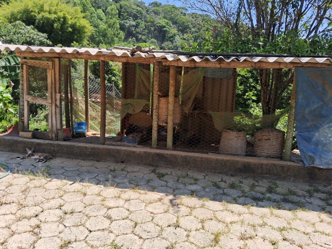 Chácara, 4 quartos - Foto 6