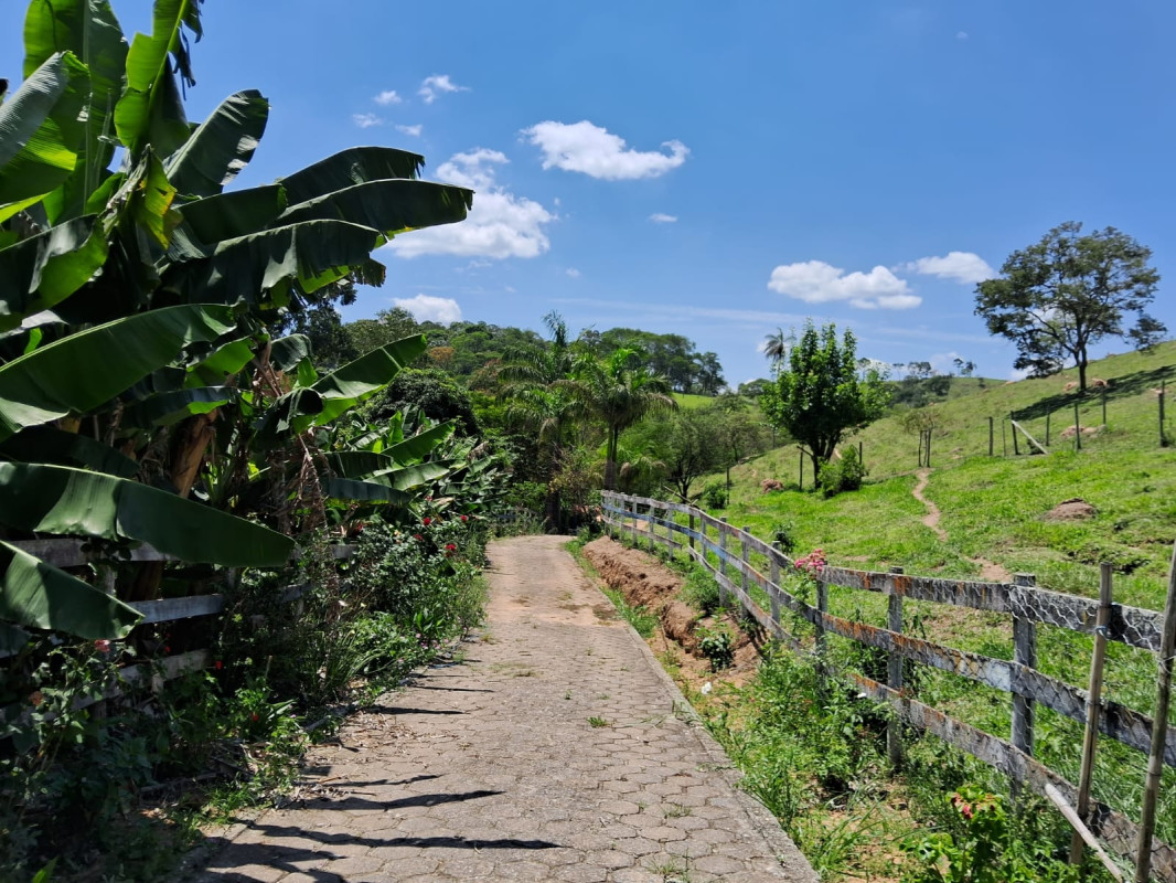 Chácara, 4 quartos - Foto 12