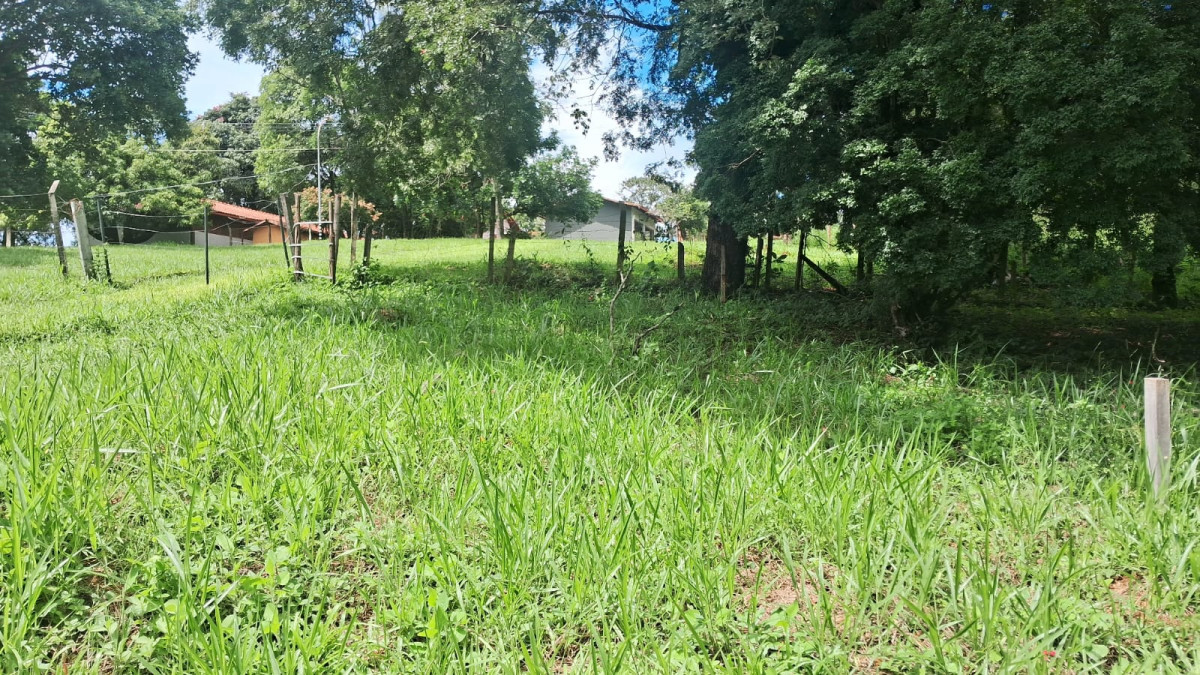 Terreno - Foto 9