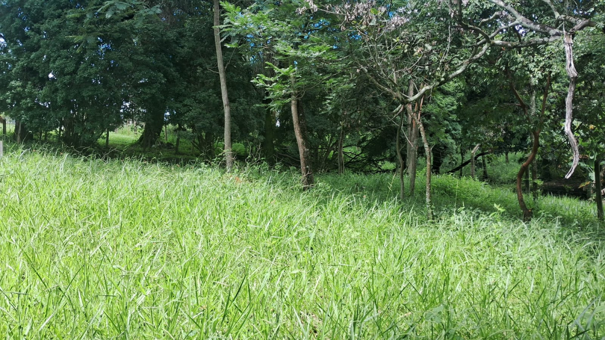 Terreno - Foto 18