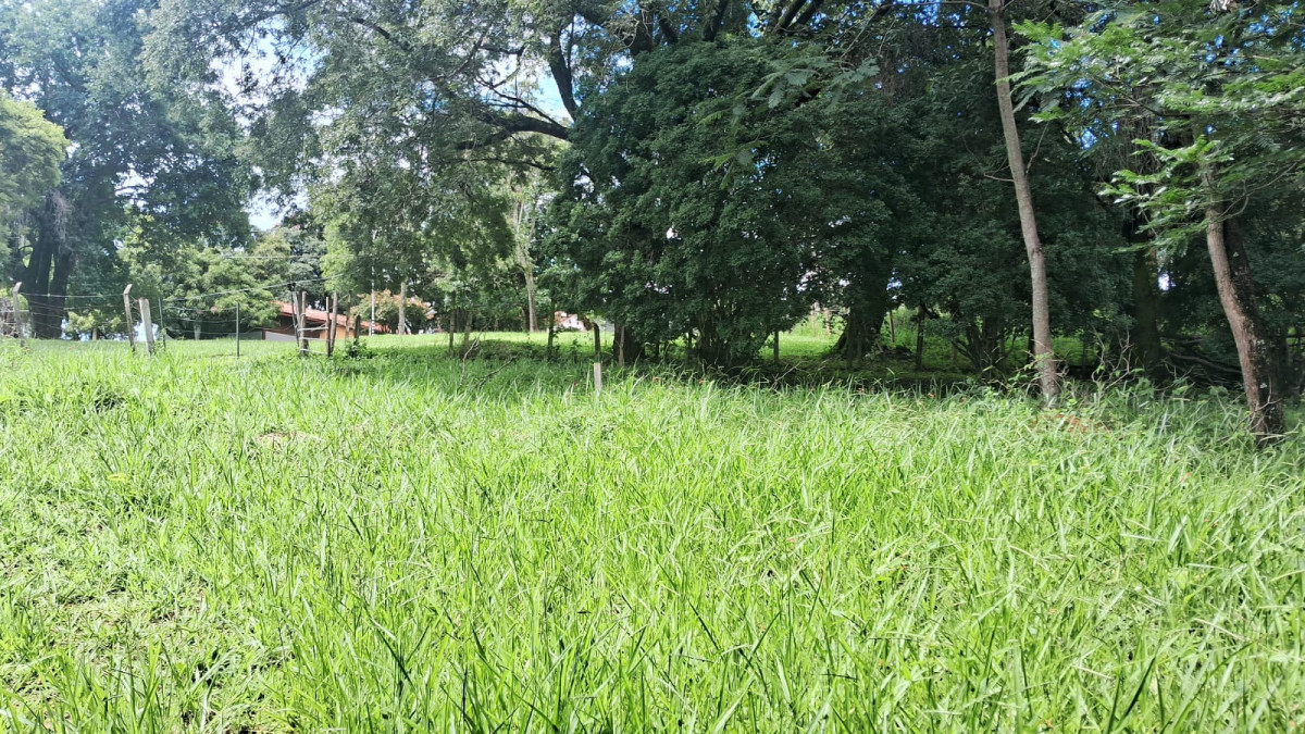 Terreno - Foto 19