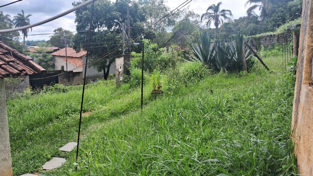 Terreno - Foto 7