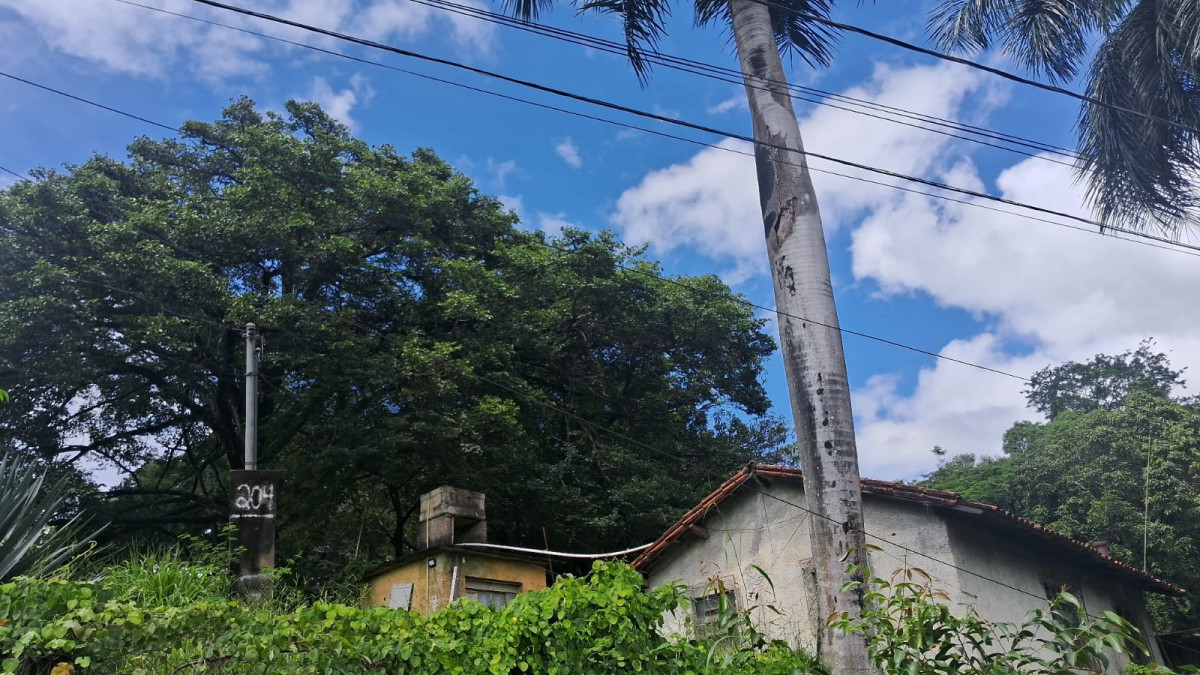 Terreno - Foto 11