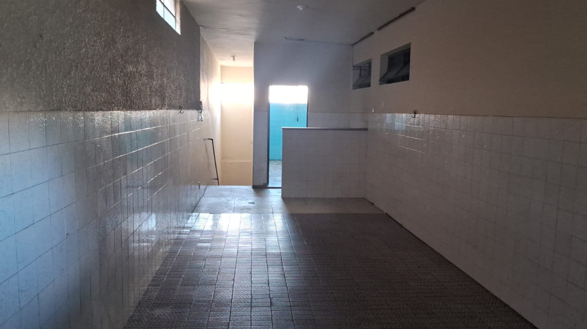 Casa, 3 quartos, 250 m² - Foto 19