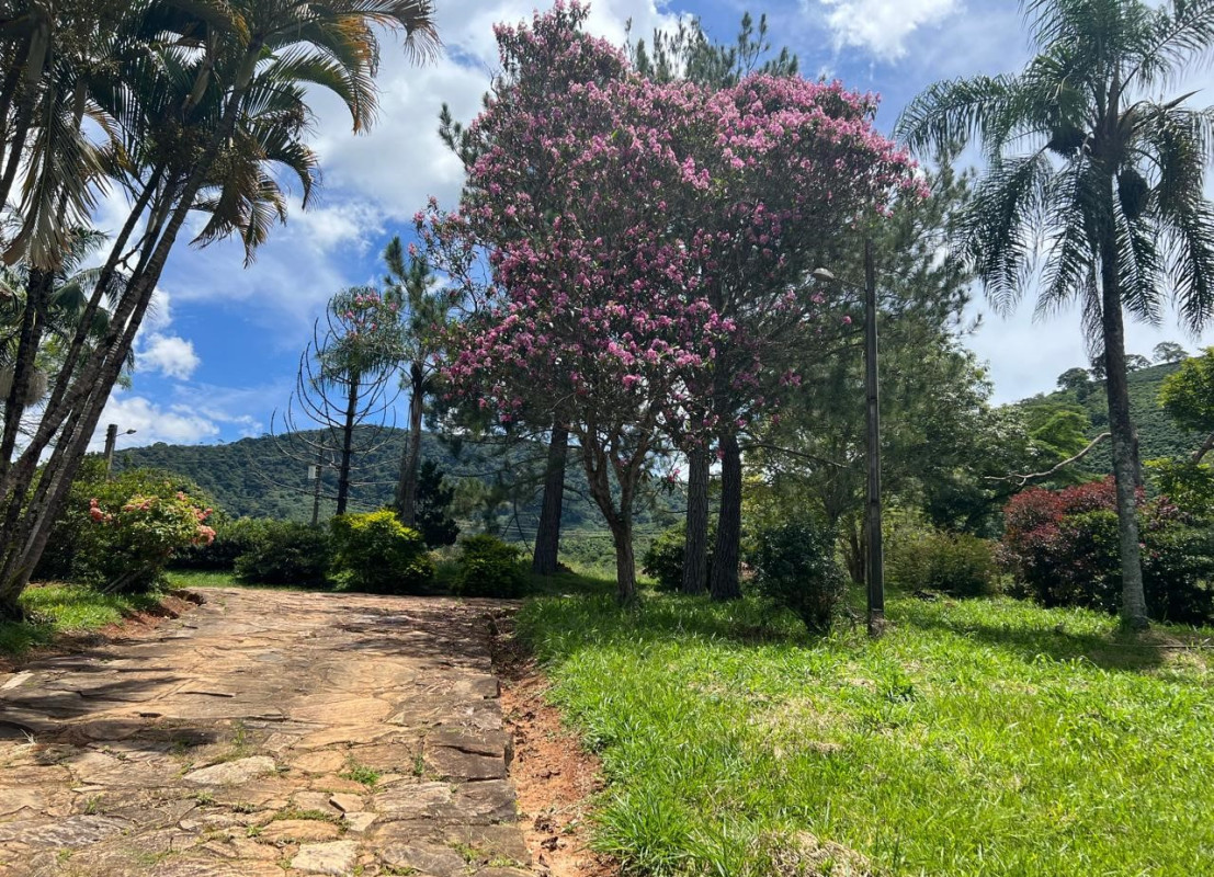 Chácara, 1 quarto - Foto 23