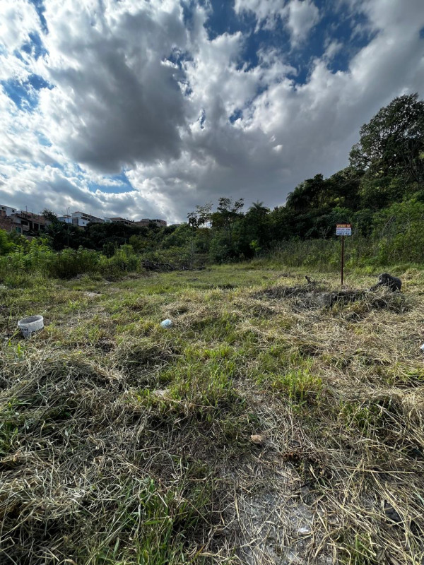 Terreno, 257 m² - Foto 6