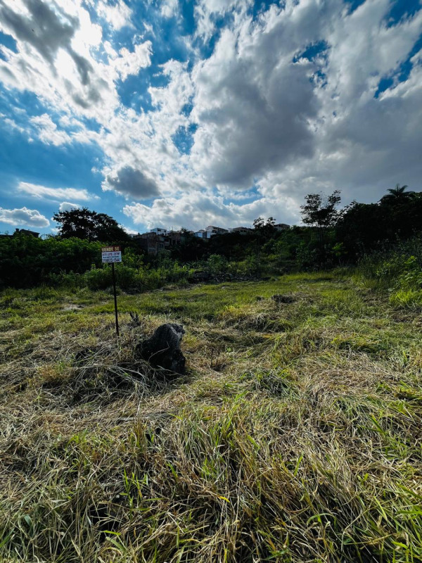 Terreno, 257 m² - Foto 4