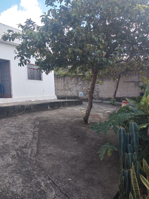 Casa, 3 quartos, 360 m² - Foto 19