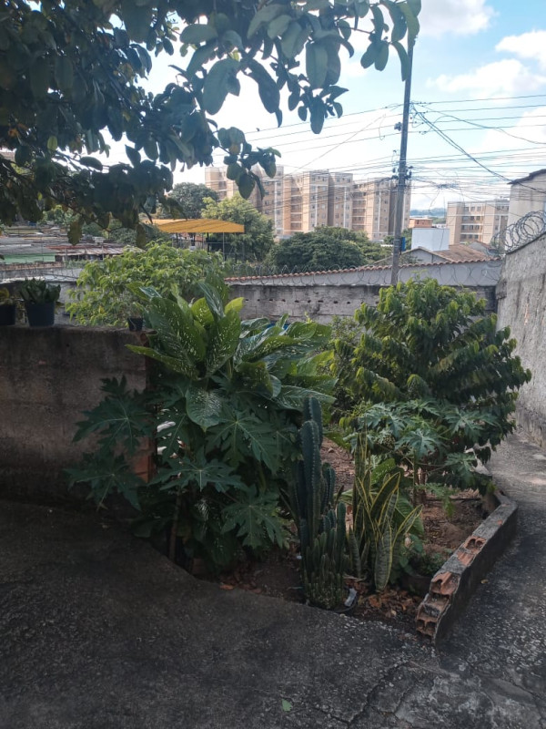 Casa, 3 quartos, 360 m² - Foto 14