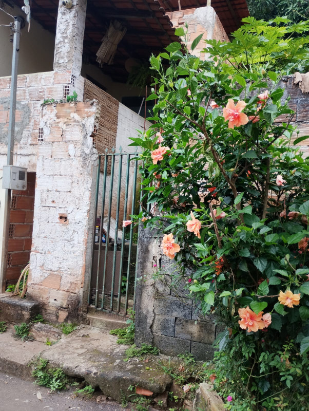 Casa, 3 quartos, 360 m² - Foto 17