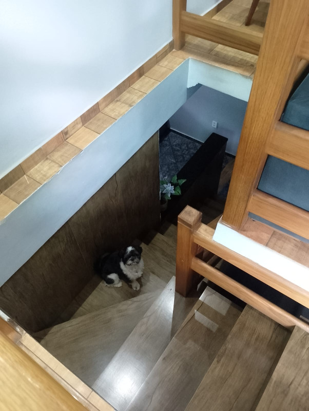 Casa, 3 quartos, 360 m² - Foto 12