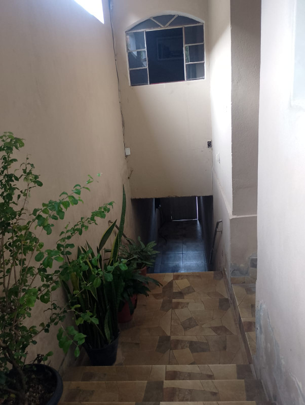 Casa, 3 quartos, 360 m² - Foto 6
