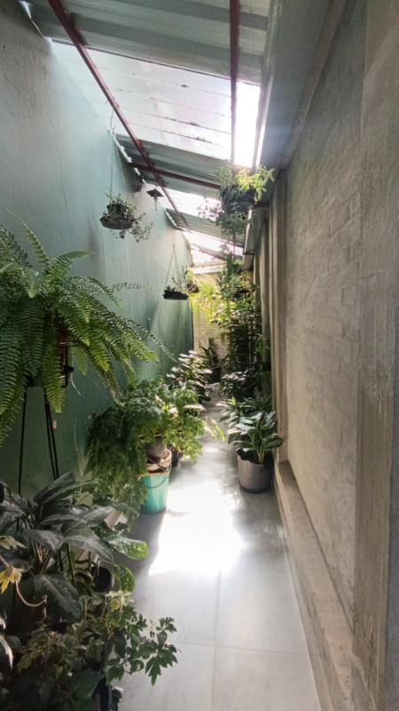 Casa, 4 quartos, 400 m² - Foto 7