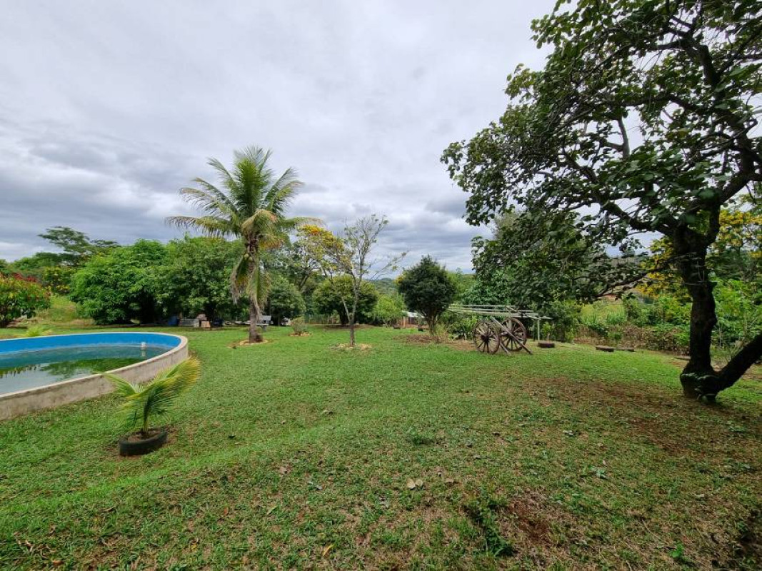 Chácara, 4 quartos, 2 hectares - Foto 9