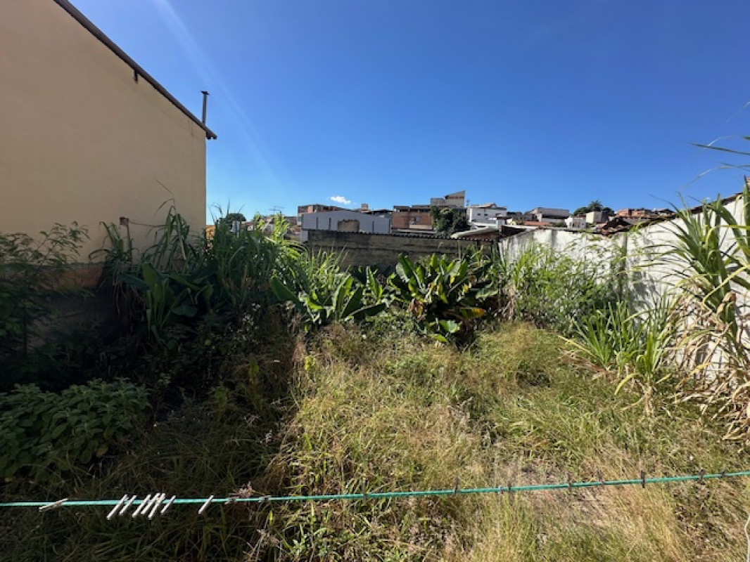 Casa, 3 quartos, 360 m² - Foto 16