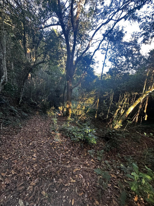 Chácara, 1 quarto - Foto 6