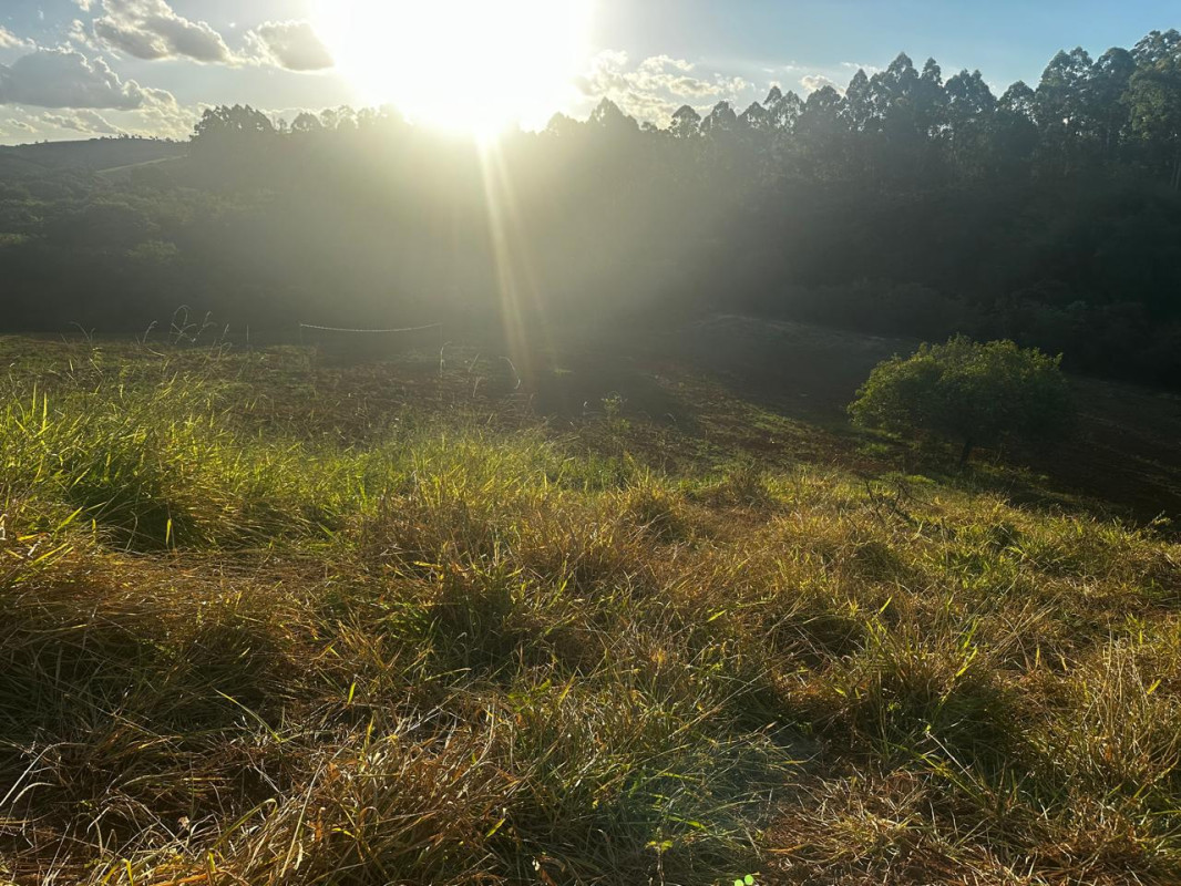 Chácara, 1 quarto - Foto 10