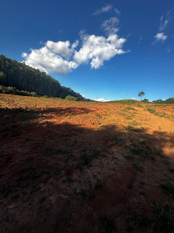 Chácara, 1 quarto - Foto 4