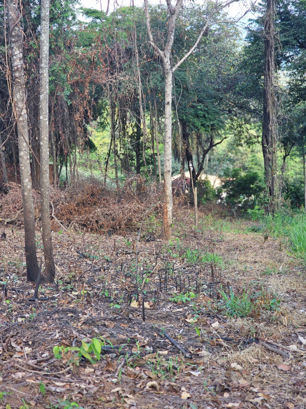 Terreno, 2054 m² - Foto 12