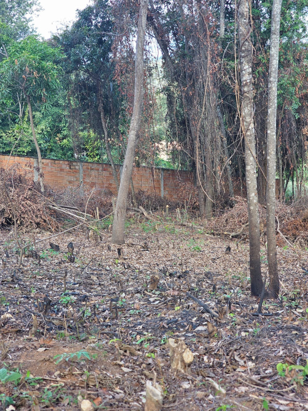 Terreno, 2054 m² - Foto 13