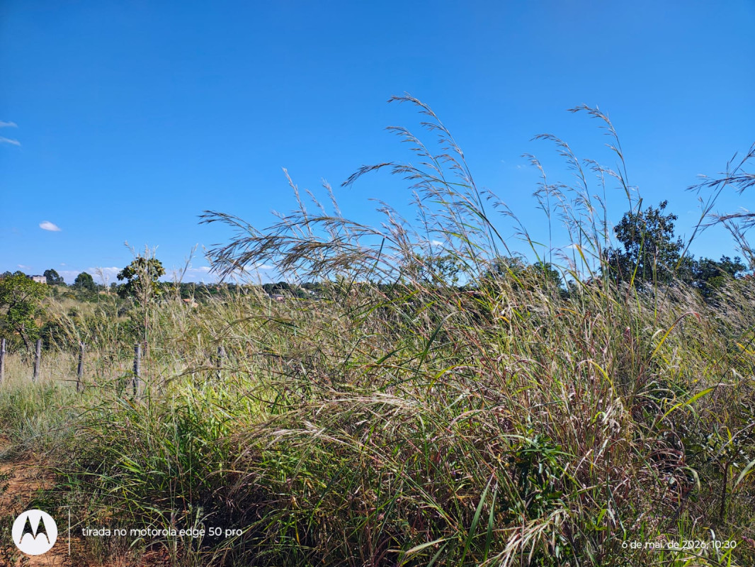 Terreno, 5000 m² - Foto 3
