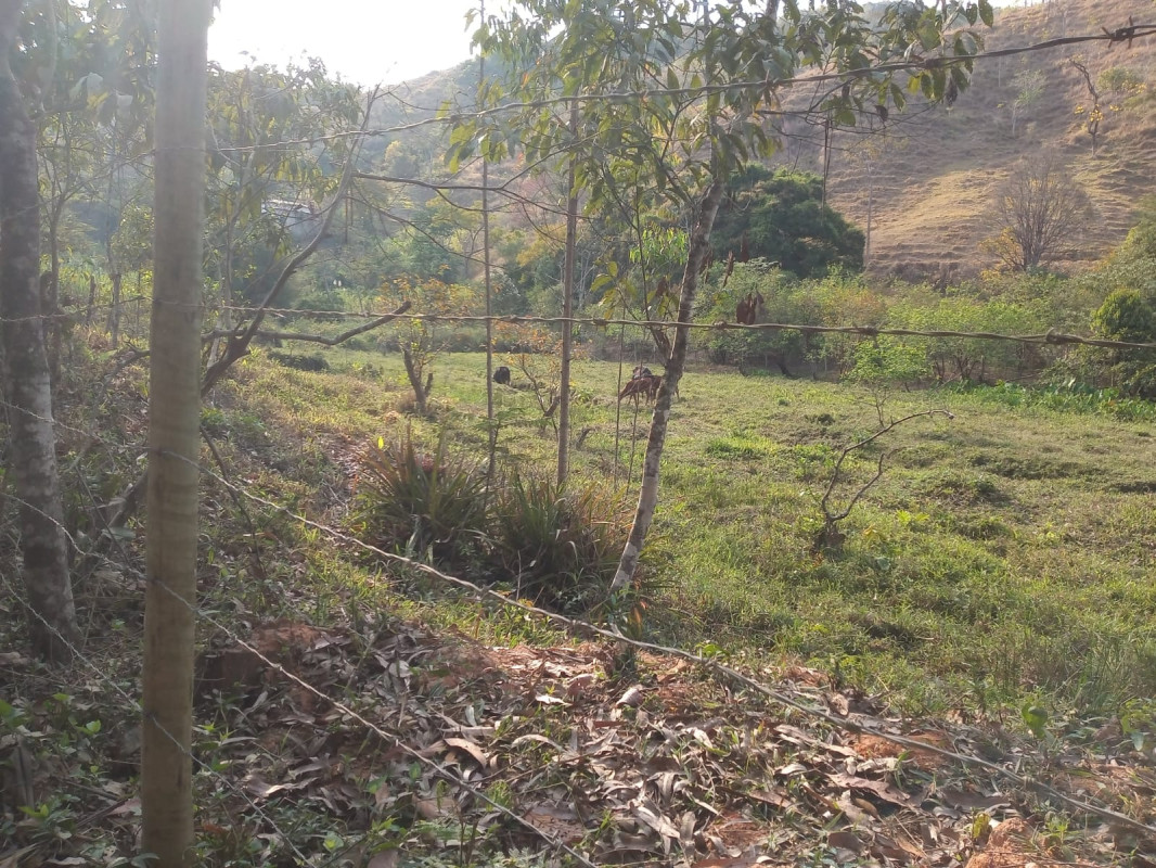 Terreno, 171 m² - Foto 3
