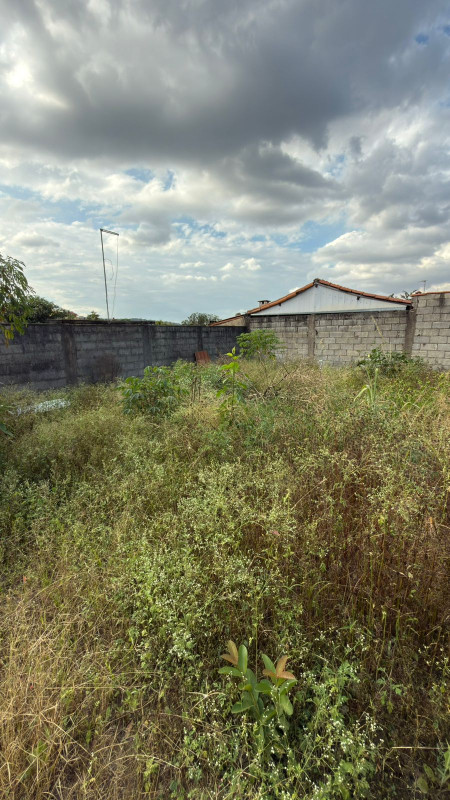 Casa, 3 quartos, 360 m² - Foto 12