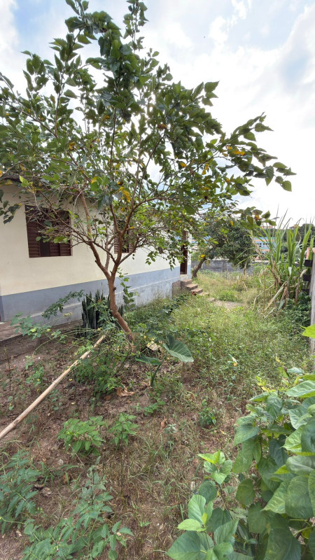 Casa, 3 quartos, 360 m² - Foto 6