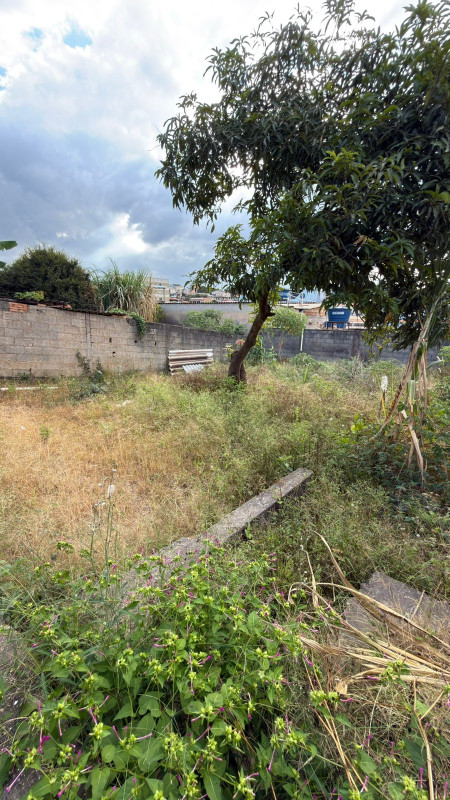 Casa, 3 quartos, 360 m² - Foto 16