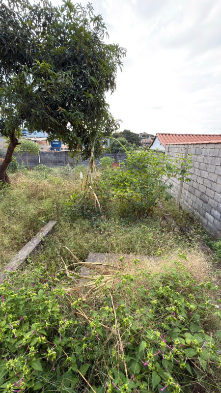 Casa, 3 quartos, 360 m² - Foto 8