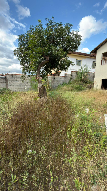 Casa, 3 quartos, 360 m² - Foto 19